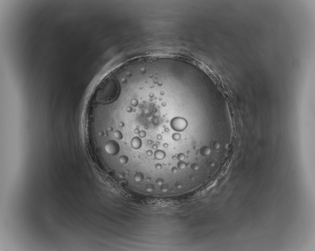 X0000116380343200912091419