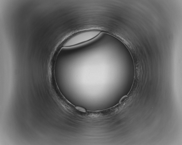 X0000116380350200912091419