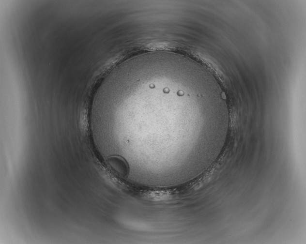 X0000116380353200912091419