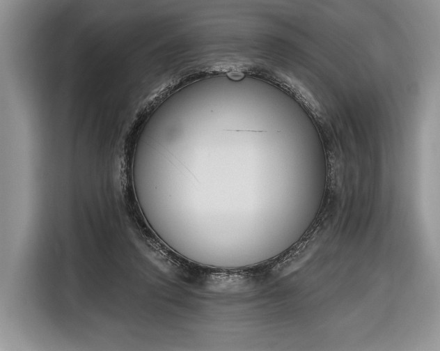 X0000116380354200912091419