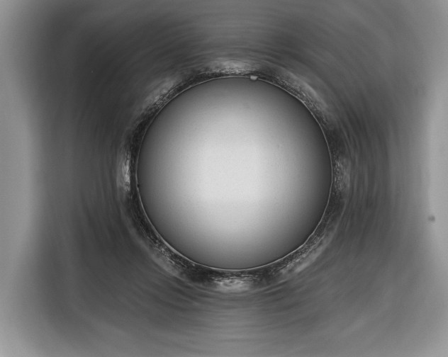 X0000116380358200912091419