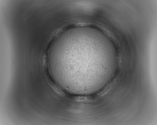 X0000116380361200912091419