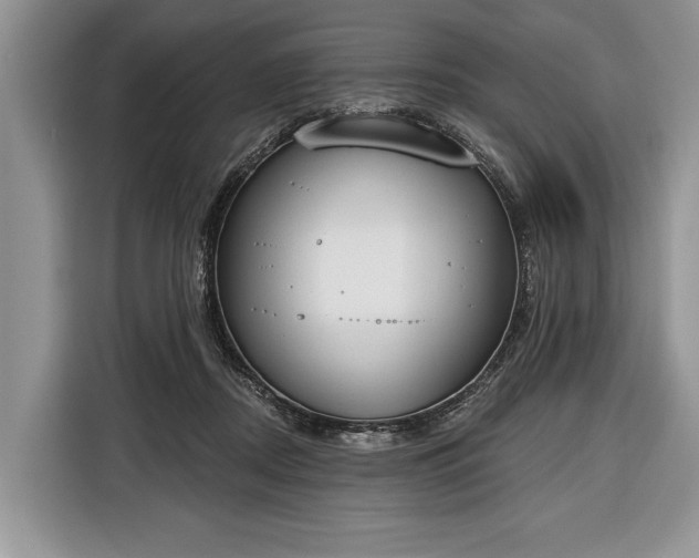 X0000116380362200912091419