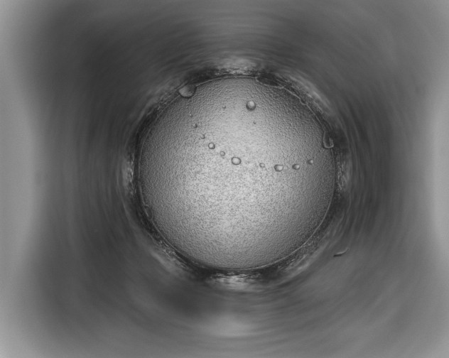 X0000116380365200912091419