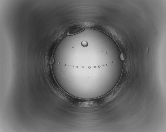 X0000116380366200912091419