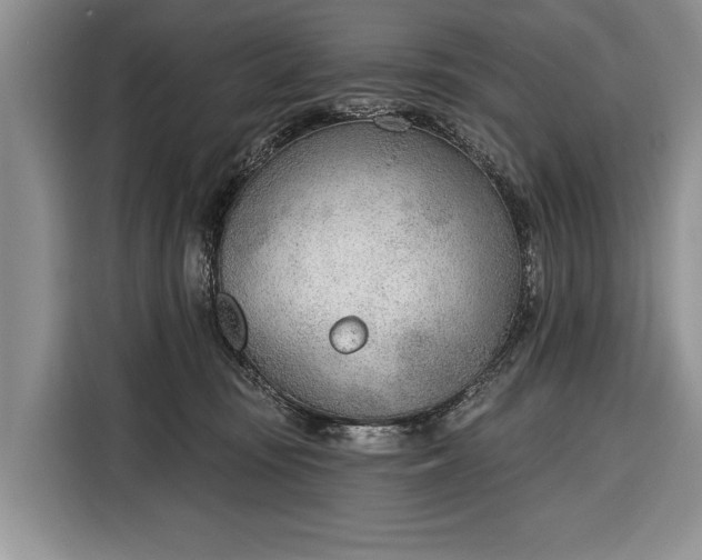 X0000116380371200912091419