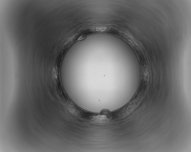X0000116380374200912091419