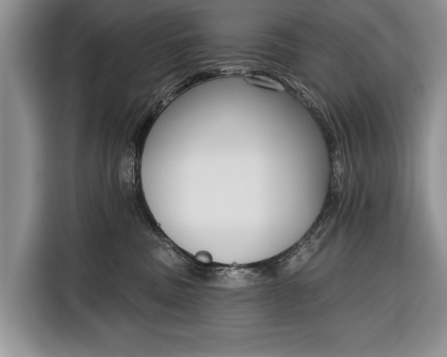 X0000116380379200912091419