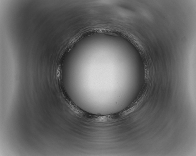 X0000116380382200912091419