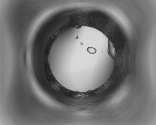 X0000116380383200912091419