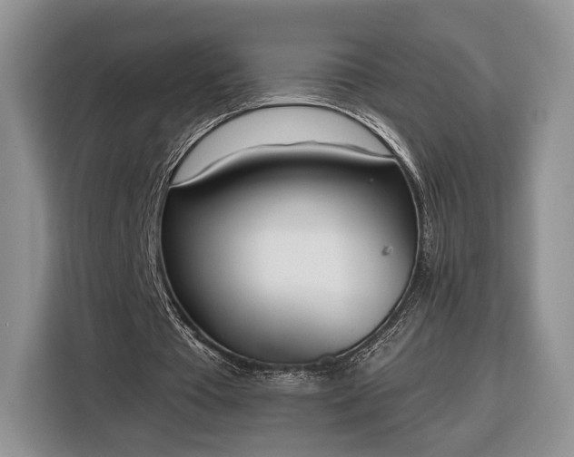 X0000116380385200912091419