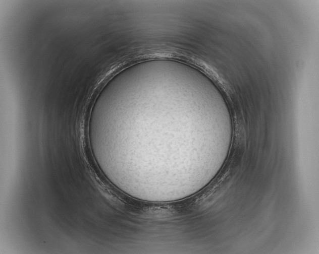 X0000116380386200912091419