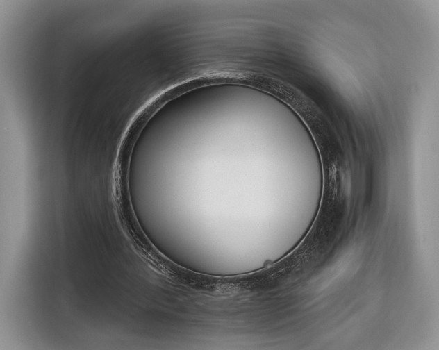 X0000116380388200912091419