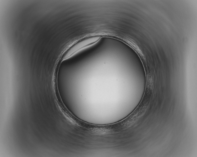 X0000116380389200912091419