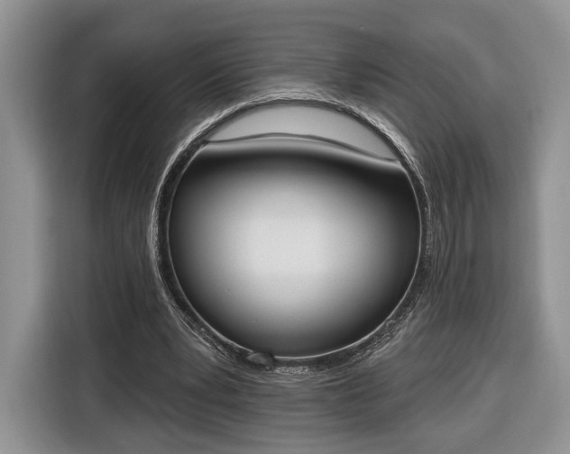 X0000116380391200912091419