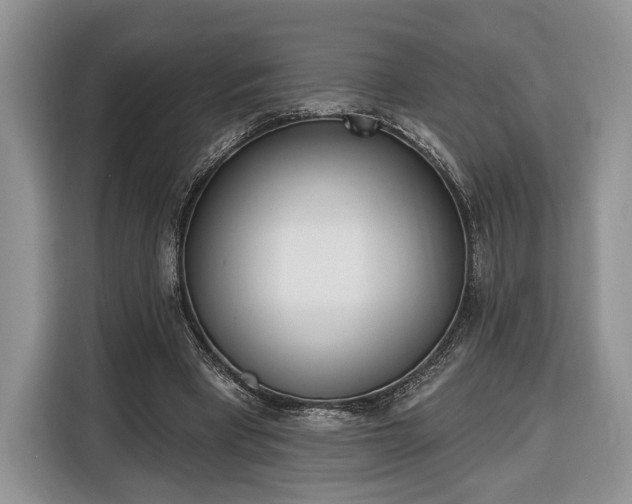 X0000116380393200912091419
