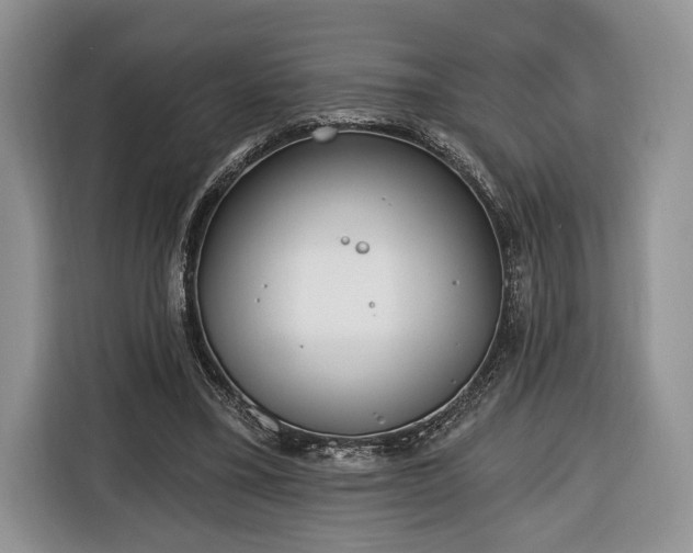 X0000116380395200912091419