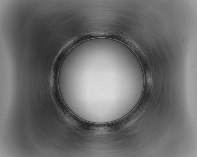 X0000116380396200912091419