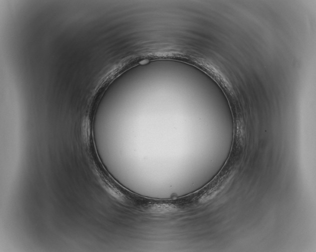 X0000116380397200912091419