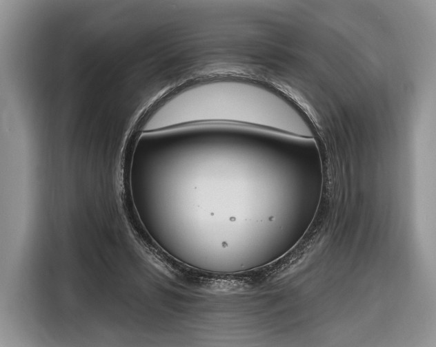 X0000116380399200912091419