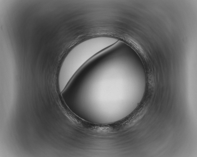 X0000116380401200912091418