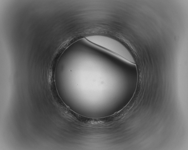 X0000116380403200912091418