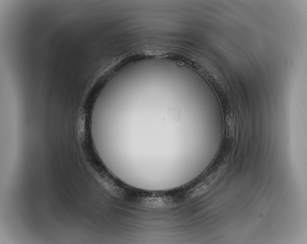 X0000116380404200912091418