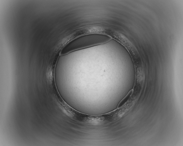X0000116380405200912091418