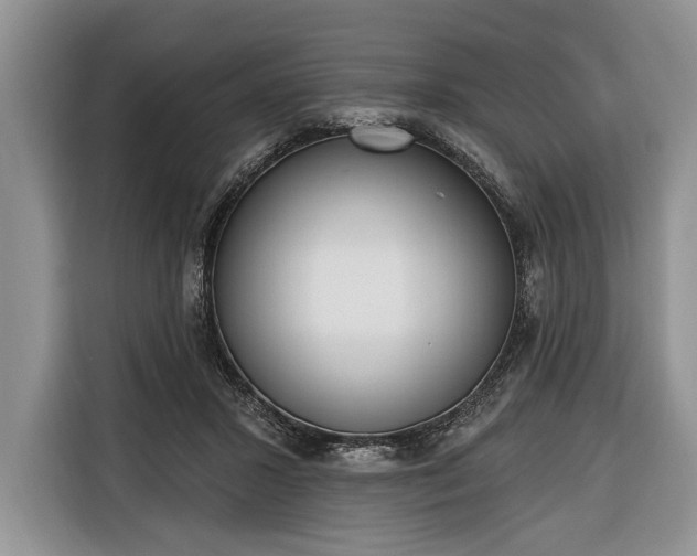 X0000116380407200912091418