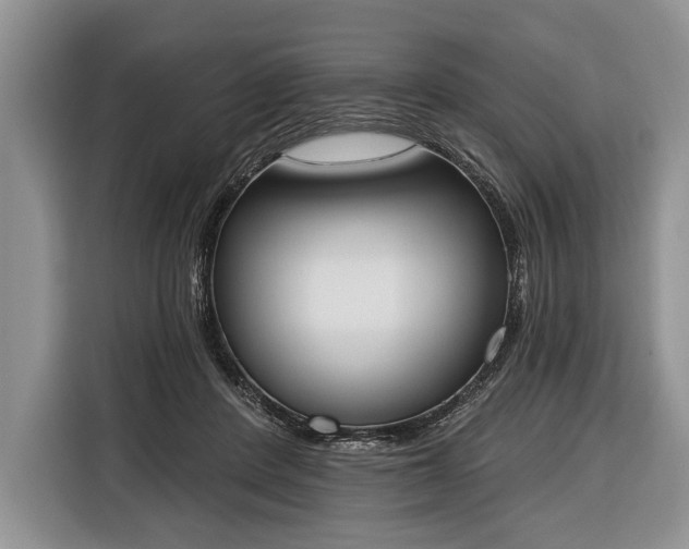 X0000116380408200912091418
