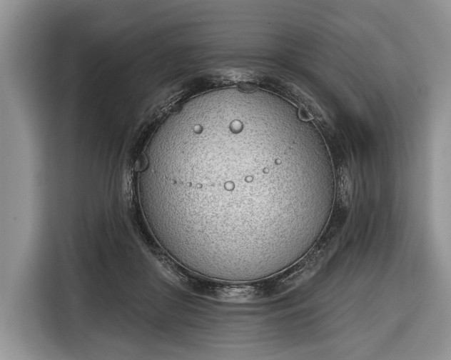 X0000116380410200912091418