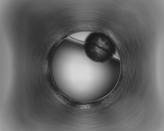 X0000116380411200912091418