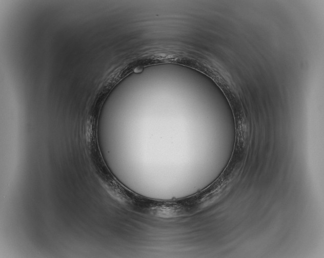 X0000116380412200912091418