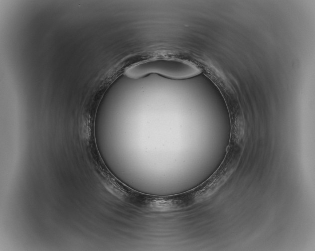 X0000116380413200912091418