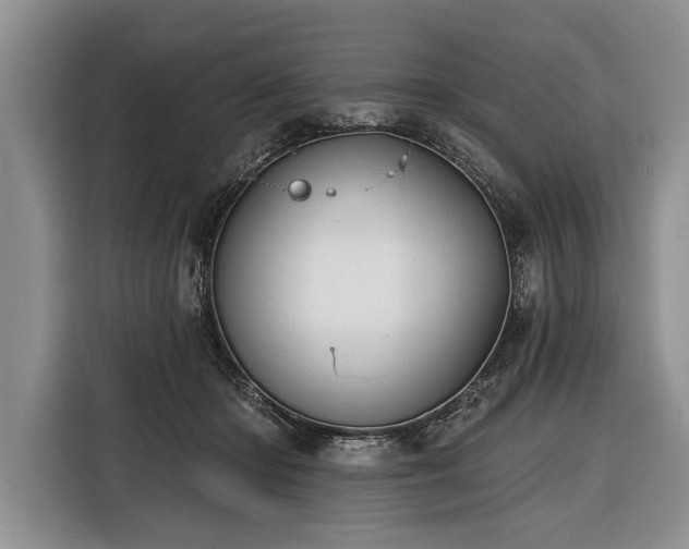 X0000116380414200912091418