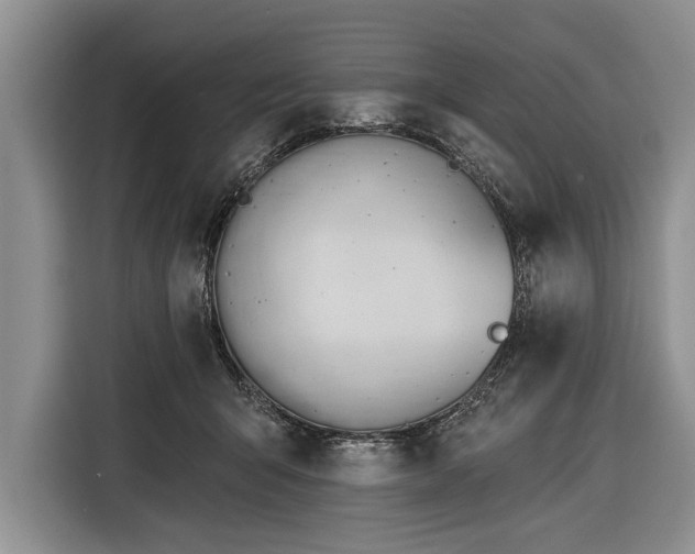X0000116380415200912091418