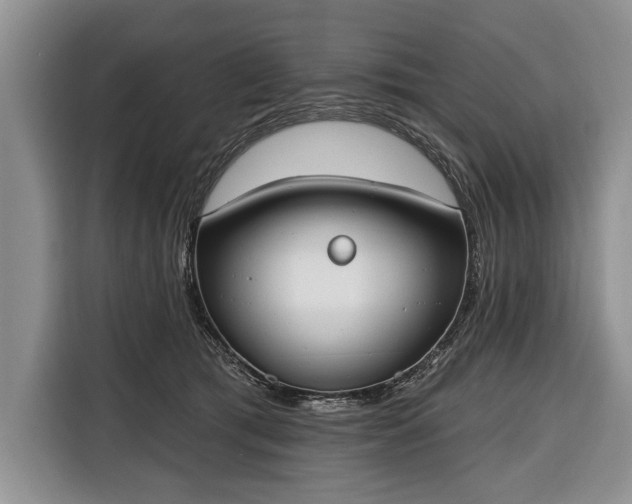X0000116380417200912091418