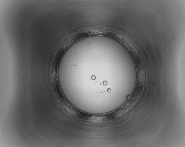 X0000116380418200912091418
