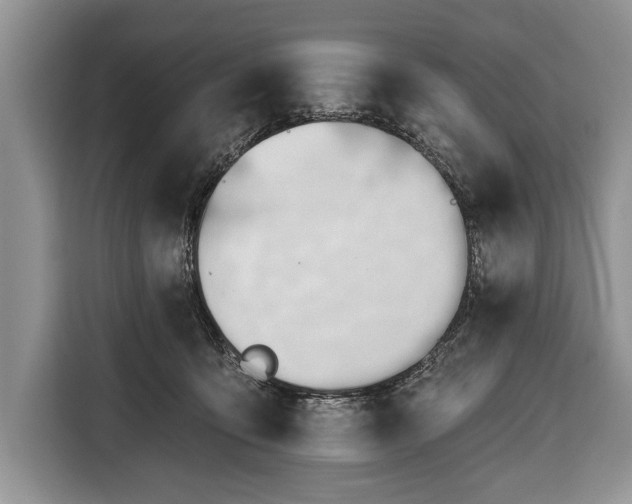 X0000116380419200912091418