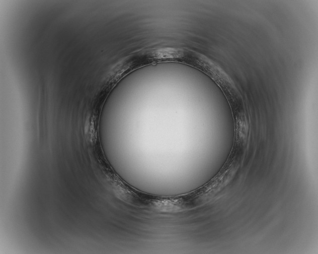 X0000116380422200912091418
