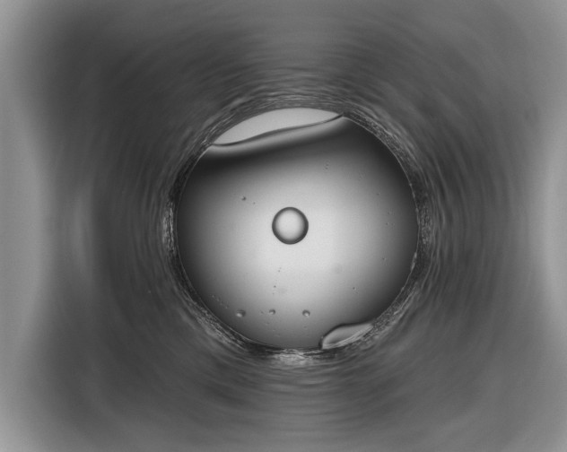 X0000116380425200912091418