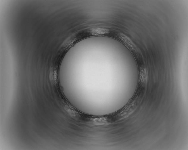 X0000116380426200912091418