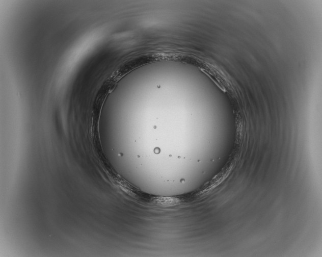 X0000116380429200912091418