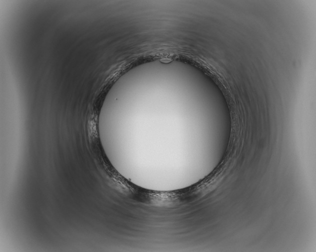 X0000116380432200912091418