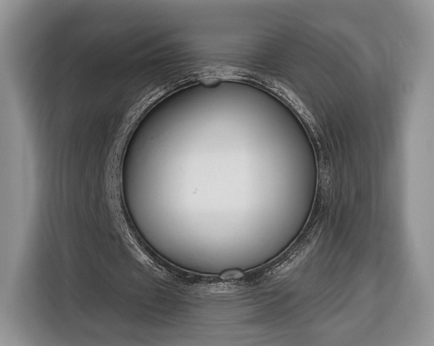 X0000116380433200912091417