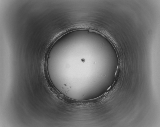 X0000116380434200912091417