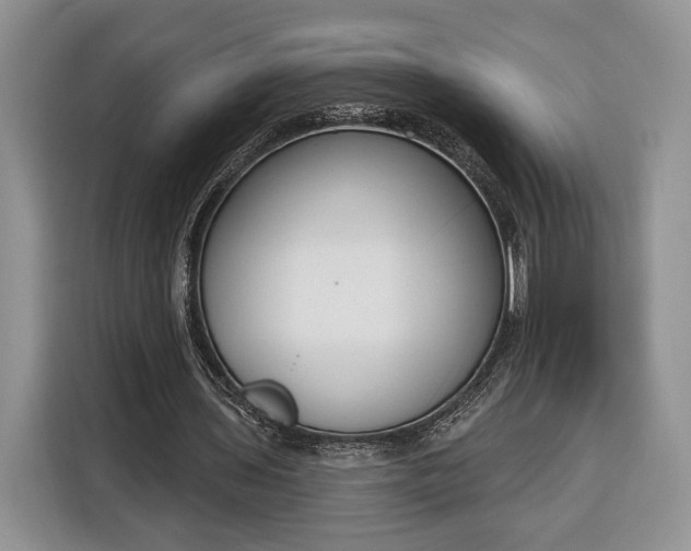 X0000116380435200912091417