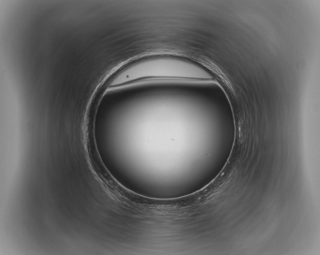 X0000116380436200912091418