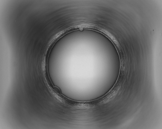 X0000116380437200912091418