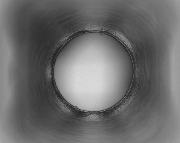 X0000116380441200912091418